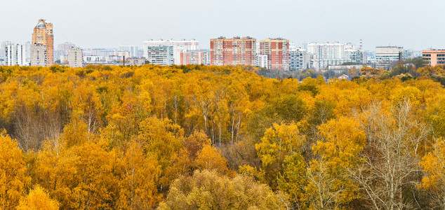 与秋季城市公园的城市全景图片