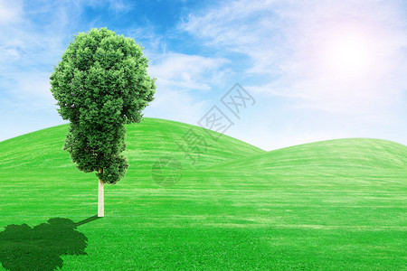 绿草小山和树阳光和蓝天图片
