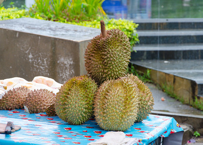 泰国热带水果榴莲图片