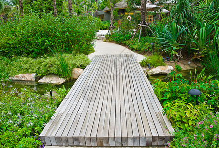花园中老木桥的景色图片