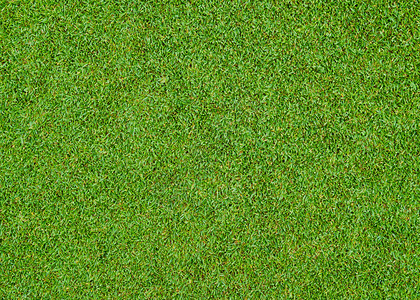 高尔夫球场上美丽的绿草图案图片
