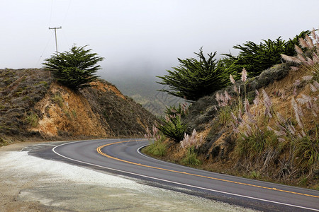 雾中的路通往加利福尼亚半月湾图片
