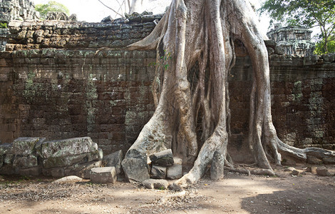 暹粒柬埔寨寺庙印度教印地语石头寺庙群所有的石头都没有混凝土雕刻被称为失落的寺庙图片