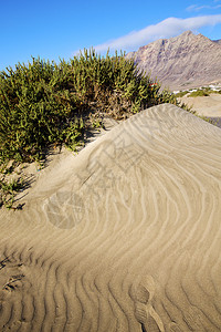 抽象的黄色沙丘海滩Hhil和西班图片