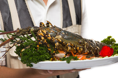 最大的龙虾海鲜又贵好吃图片