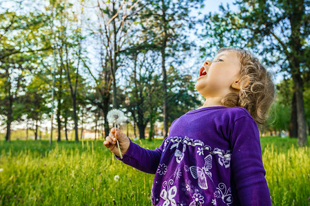 小女孩在草地上吹蒲公英图片