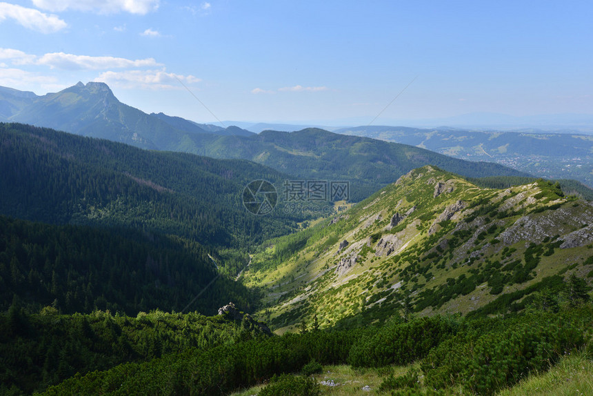 波兰塔特里山脉的夏季景观图片