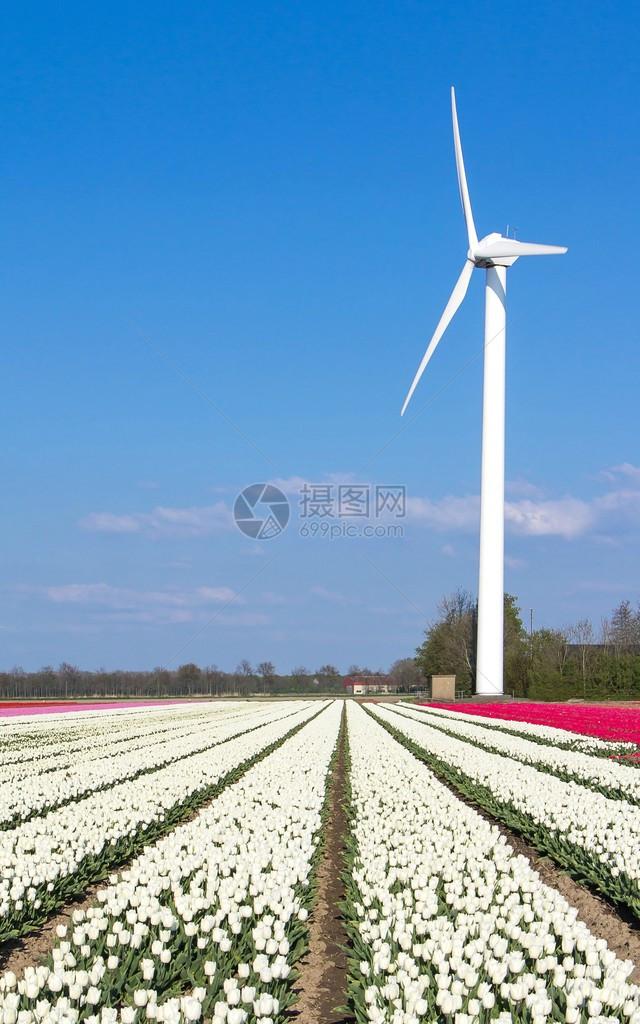风力涡轮机在蓝天背景图片