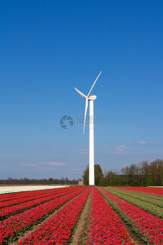 风力涡轮机在蓝天背景图片