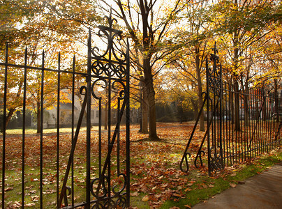 秋天有铁栅栏的小公园图片