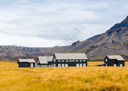 与火山岩和绿草的冰岛风景图片