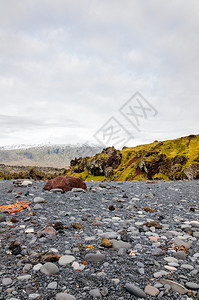 冰岛SnaefellsnesDritvik的黑图片