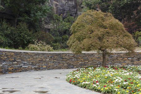 上海辰山植物园图片