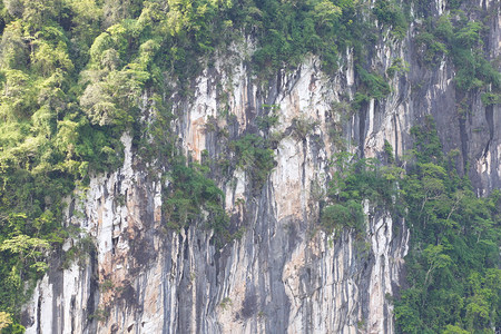 悬崖面与绿树紧密相连图片