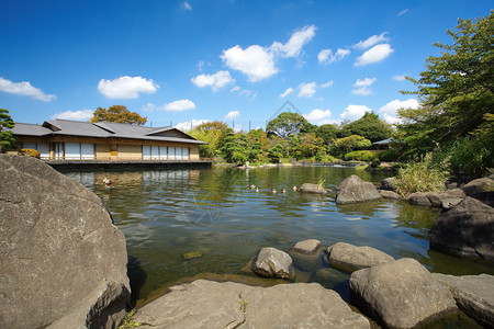 白天有湖和蓝天的夏日风景图片