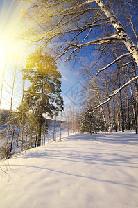 冬季风景日落时有阳图片