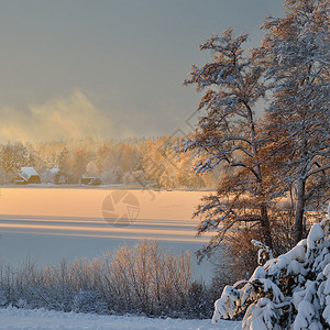 在日落的美好的冬天风景图片