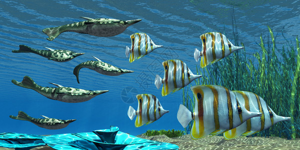 Pteraspis是德文时期生活的无下巴海洋鱼图片