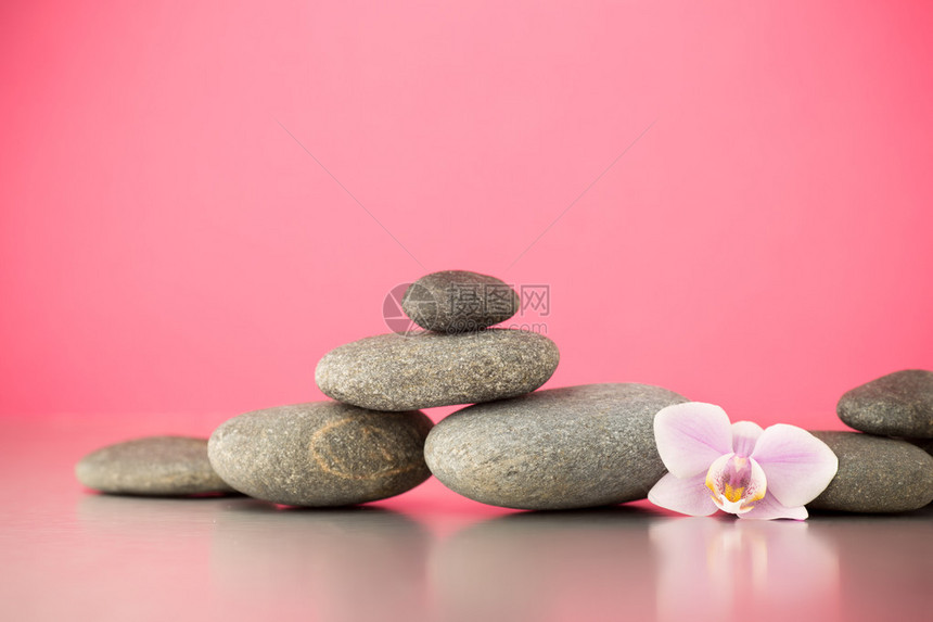 粉红色背景上的水疗石与兰花图片