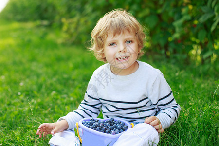 玩得开心的小孩男在户外水桶里捡蓝莓图片