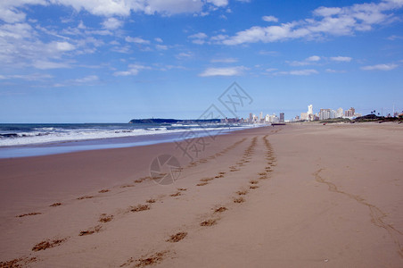 沙滩上的脚印与远处的城市图片