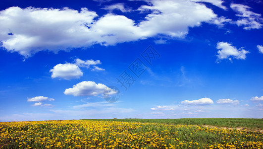 蓝天白云的美丽风景图片