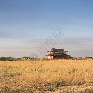 著名的景点是教科文组织世界遗产迹之一的纳拉Nara皇宫Heij图片