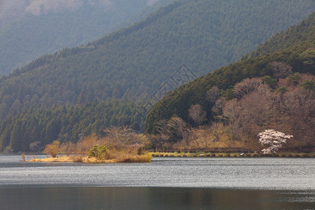 美丽的秋天风景与山和湖图片