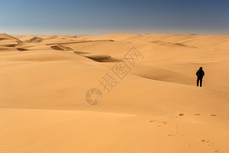 NamibDesrt的沙丘纳图片
