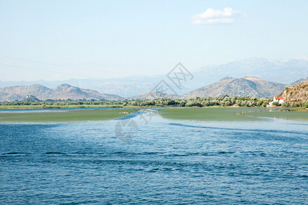 黑山Skadar湖OdSk图片