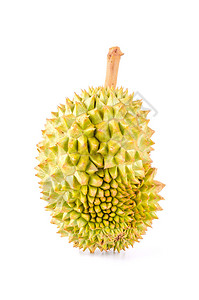 Durian水果图片