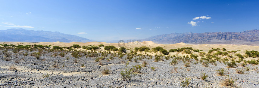 美国加利福尼亚州谷公园MesquiteFlatSandDu图片