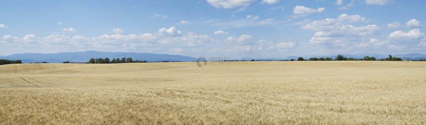 法国普罗旺斯农业地貌风景观图片