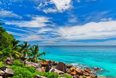 热带海滩塞舌尔高清图片