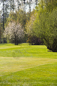 法国圣Saens高尔夫球场美图片