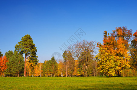 公园里的秋天风景晴天图片