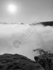 深岩峡谷的浓雾充满了沉重的云层图片