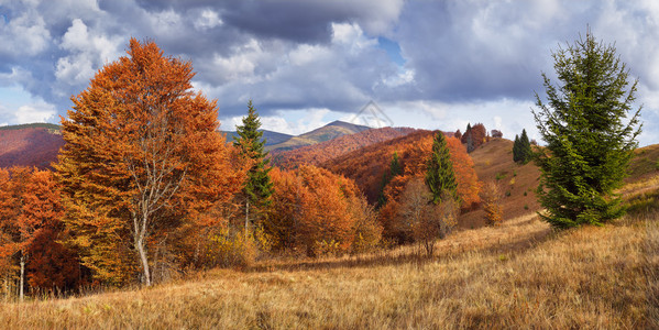 在山的美好的秋天风景图片