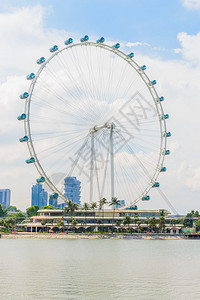 新加坡传单背景图片