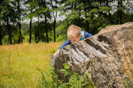 田地中间的小男孩和森林背景的石图片