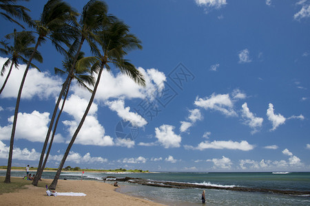 夏威夷Poipu图片