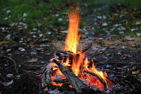 翁布雷爆炸在森林里的篝火背景