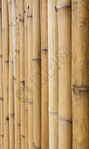 竹栅栏背景纹理图案图片