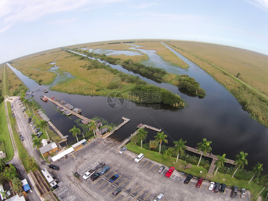 FloridaEverglades湿地游船公图片