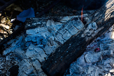 野营火坑用木头图片