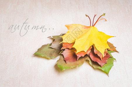秋天自然概念秋季水果和蔬菜倒在木柴上的图片
