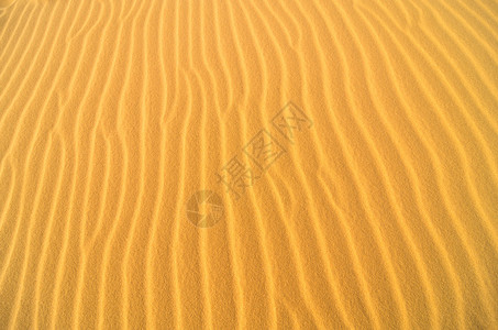 越南美奈的沙丘图片