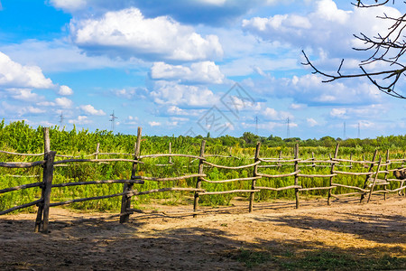 由木棍制成的动物农场围栏位于图片