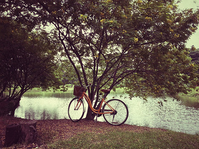 公园自行车加效果图片
