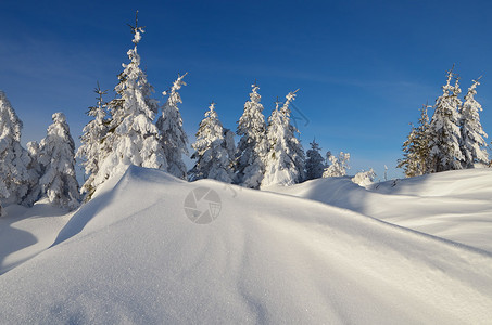 日落在山林中冬季风景雪下图片